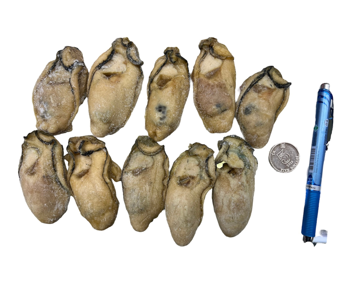 特大金蠔 10隻 260-270g