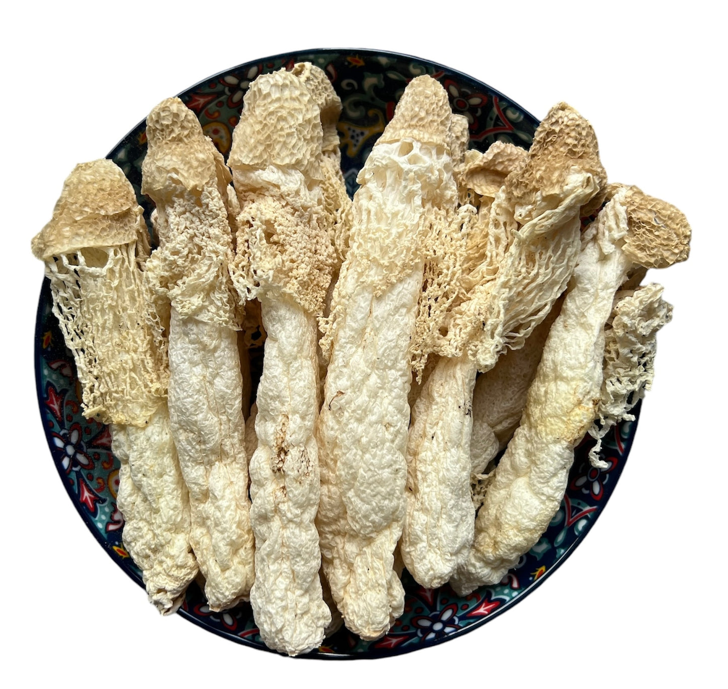 特大野生竹笙(12支約55g)