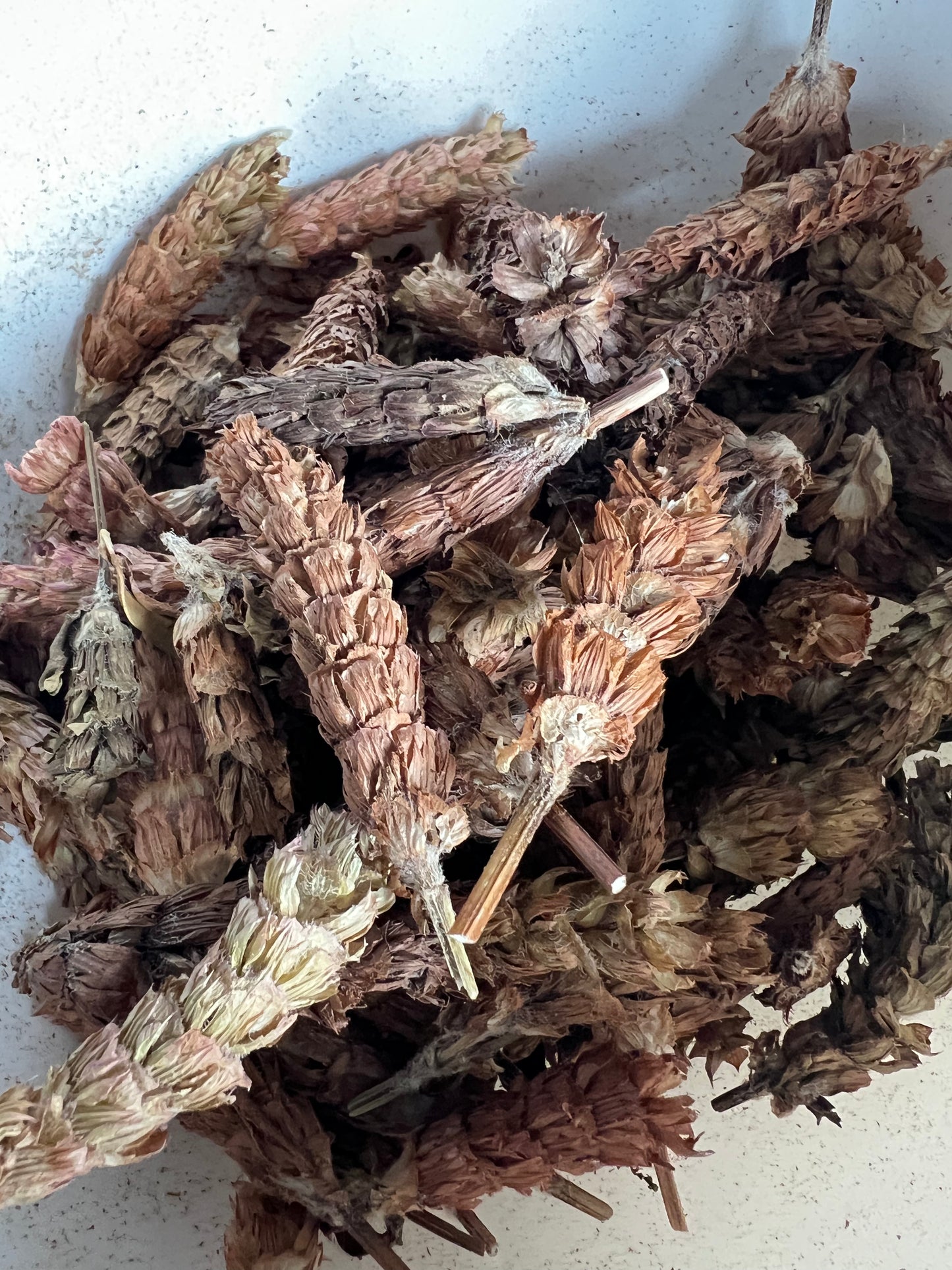 夏枯草 50gPrunella