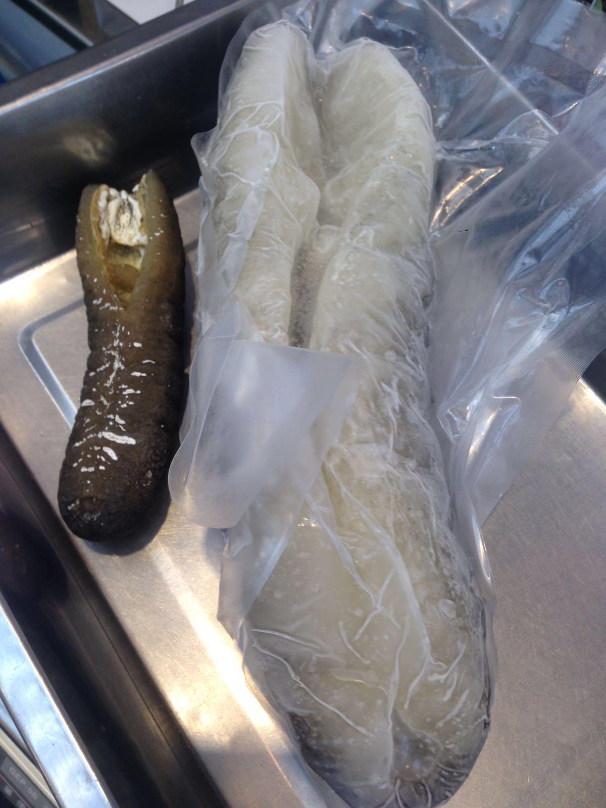 8頭澳洲禿參皇 2支(約150g) Australian Sea Cucumber