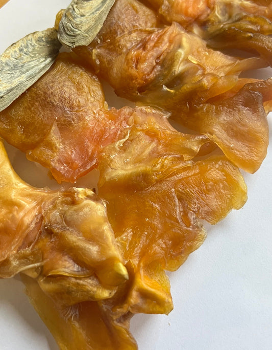 15頭美國特大有奄響螺［200g 5隻］U.S. Dried Conch Meat Jumbo Size 5pcs