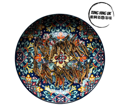 精選西藏冬蟲夏草 10g (46～50條）Tibet Wild Cordyceps Sinensis