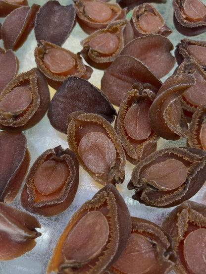 48頭南非乾鮑 10隻（120-130g) South African Dried Abalone
